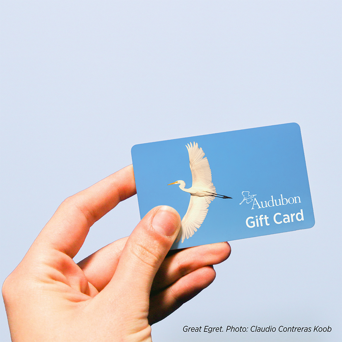 Audubon E-Gift Card