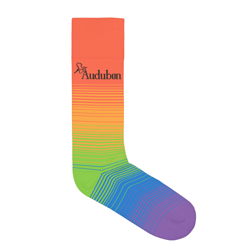 Audubon Rainbow Socks