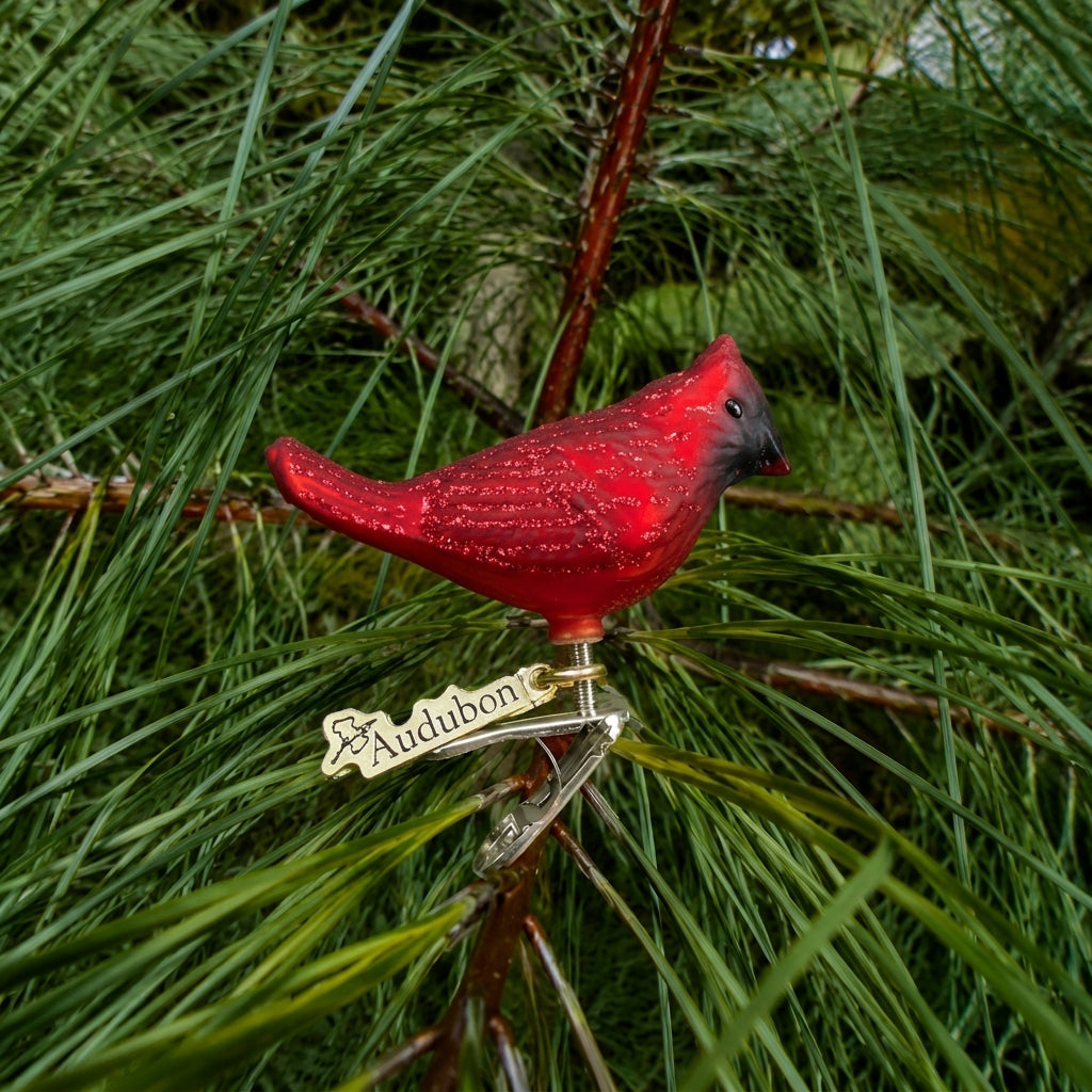 Mini Songbird Ornaments