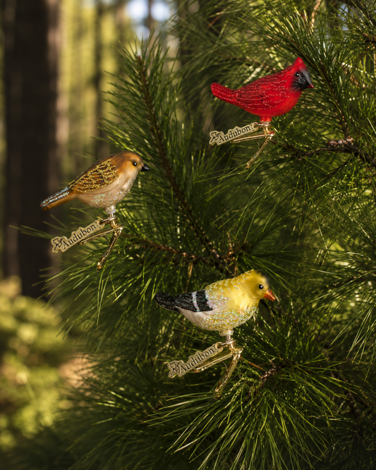 Mini Songbird Ornaments