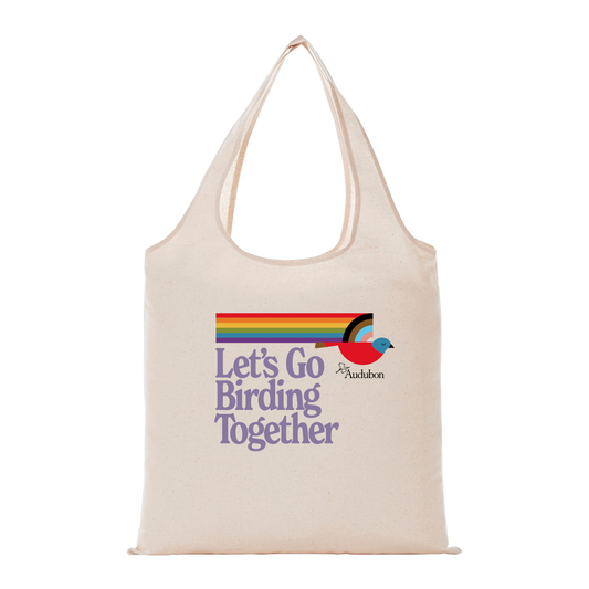 All-Purpose Cotton Canvas Tote Bag