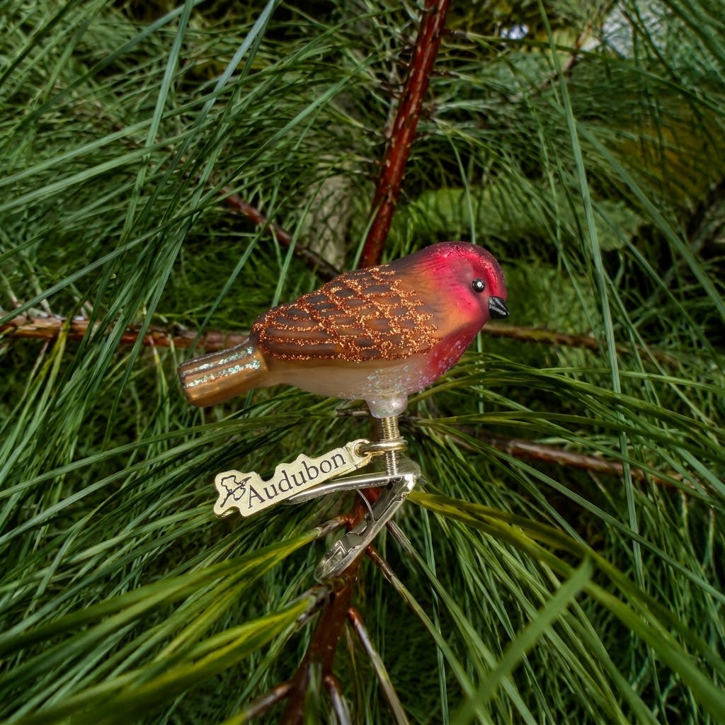 Mini Songbird Ornaments