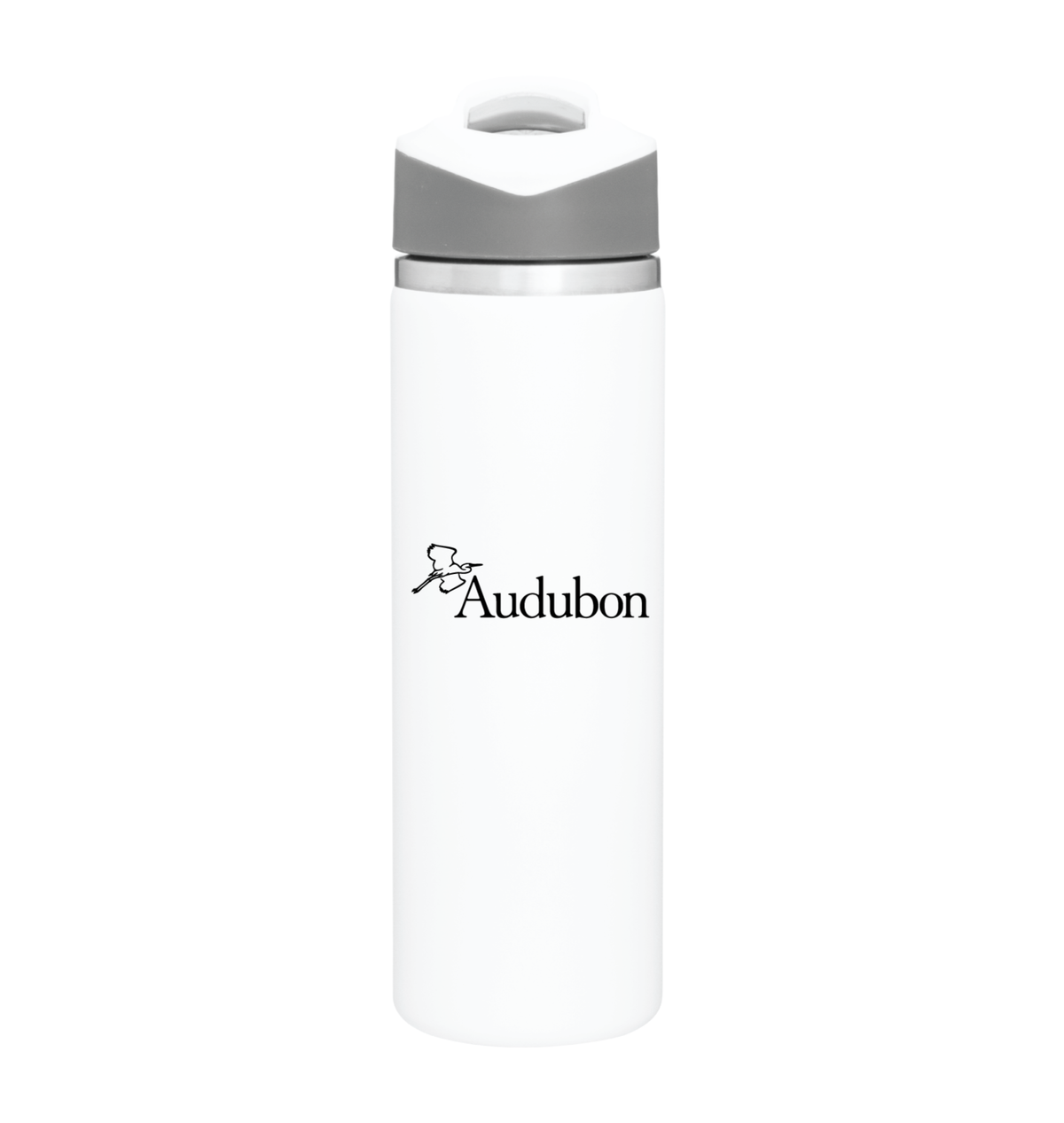 Pilot Insulated Water Bottle – Audubon Merch